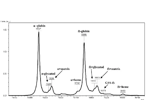 Figure 1-MALDI TOF intact mass spectrum of alpha and beta globin chains. Spectrum interpretation and 
