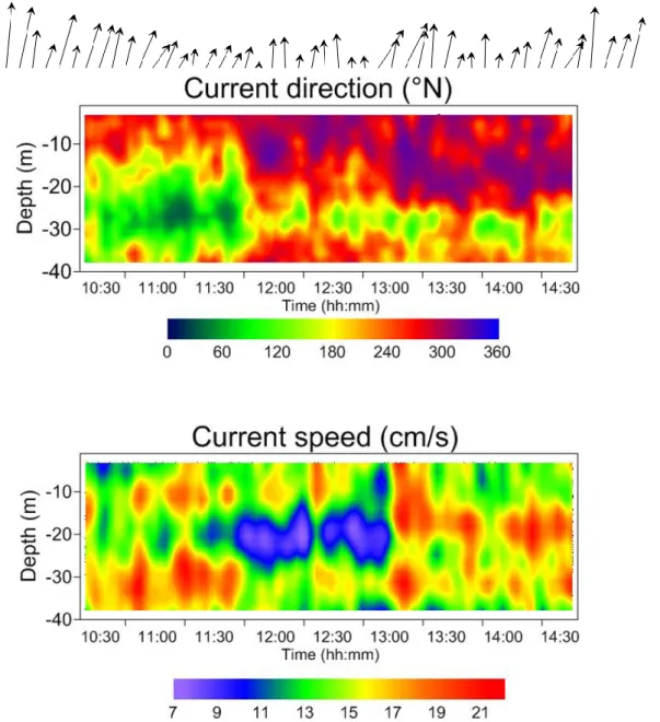 Figura 2.13: In alto stik plot della direzione e velocità del vento (09:00-16:00); in basso diagrammi profondità (asse x)  tempo (asse y) rappresentanti la direzione della corrente (in alto) e la velocità della corrente (in basso)