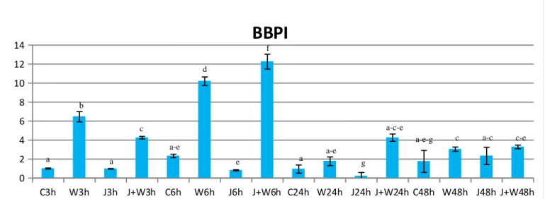 FIG 41. Risultati di q-PCR relativi al gene BBPI. 