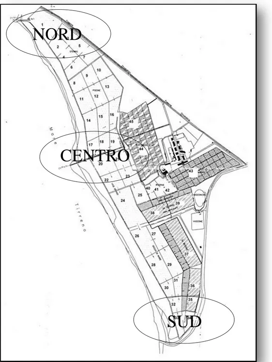 Figura 3.3: Siti di campionamento nelle tre zone principali delle Saline, Nord-Centro-Sud.NORD 