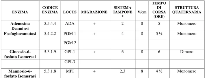 Tabella 3.4: Loci enzimatici analizzati mediante elettroforesi, applicando procedure standard per Aphanius  fasciatus