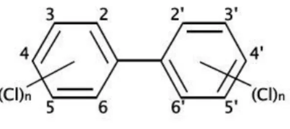 Fig. 1.1.  Structure of Polychlorinated Biphenyls molecule. 