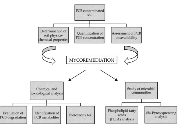 Fig. 2.1. Workflow of Chapter 2. PCB contaminated soil Determination of soil physico-chemical properties Quantification of 