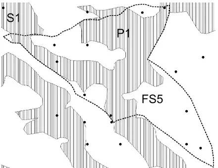 Figure 3.1 - The strata S1 intersecting the forest compartment FS5 (dot line) generates the portion P1 (area  with vertical lines) in which just two sample plots fall in 