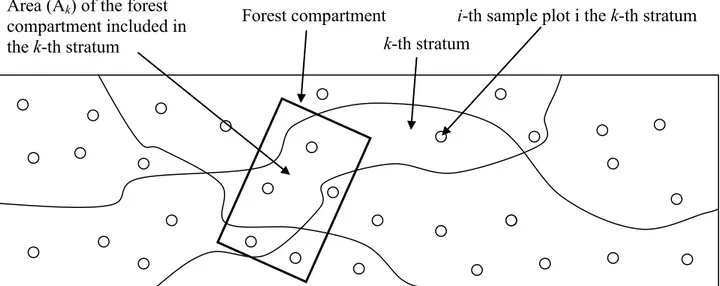 Figure 3.2 - Exemplification of a rectangular forest compartment within a forest estate partitioned into  strata 