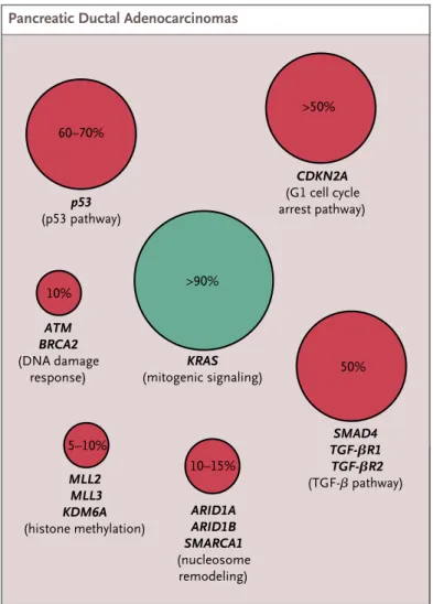 Figure 7. Frequencies of mutations in Pancreatic Ductal Adenocarcinoma. Approximate frenquencies of the  main mutations in patients with PDA