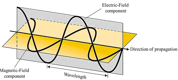 Figure  7  A  graphical  representation  of  an  electromagnetic  wave  showing  the  mutually 