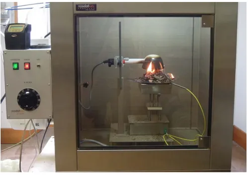 Fig 3 A picture of a representative experiments during the flaming phase.   