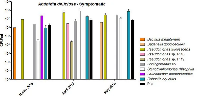 Fig. 13 – Bacterial population into the sap of A. deliciosa symptomatic plants in 2013