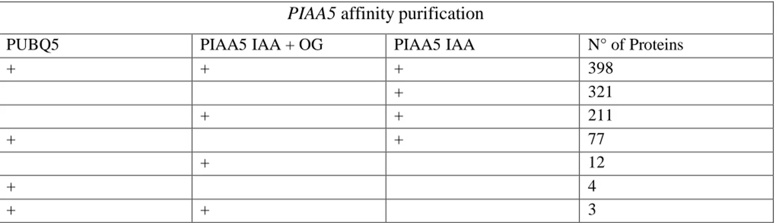 Table 3.2 : Numeric Venn diagram of proteins identified with PIAA5 affinity purification