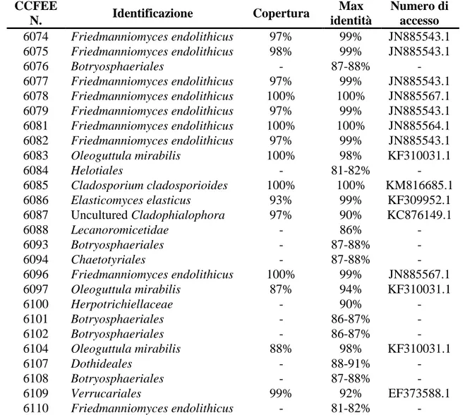 Tabella  4.3.  Percentuali  di  similarità  più  elevate  ottenute  dal  confronto  delle  sequenze  ITS  dei  90  ceppi  fungini  con  le  sequenze  depositate  in  Banca  Dati  NCBI  Genbank  (National  Center  for 