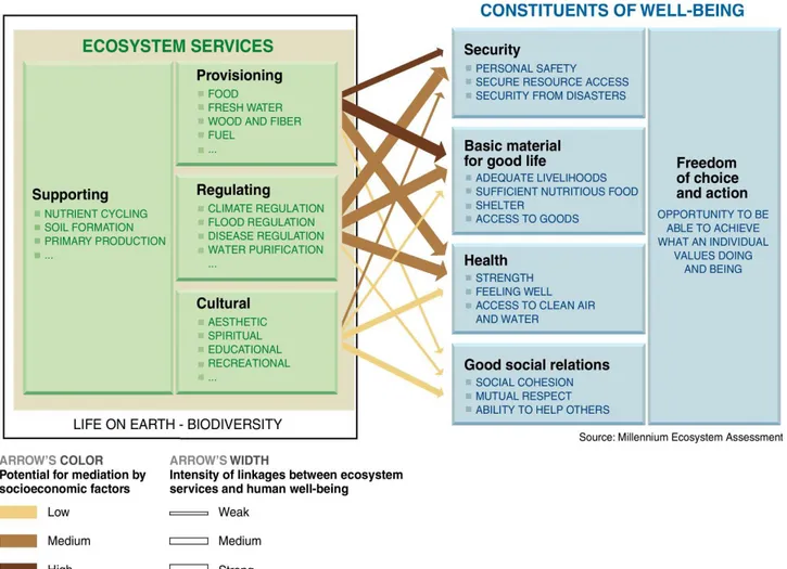 Figura 3-1. Schema teorico per l'identificazione dei servizi ecosistemici in Millennium Ecosystem Assessment