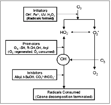 Figure 14. Mechanism of ozone decomposition in aqueous solutions (Khadre et  al., 2001)