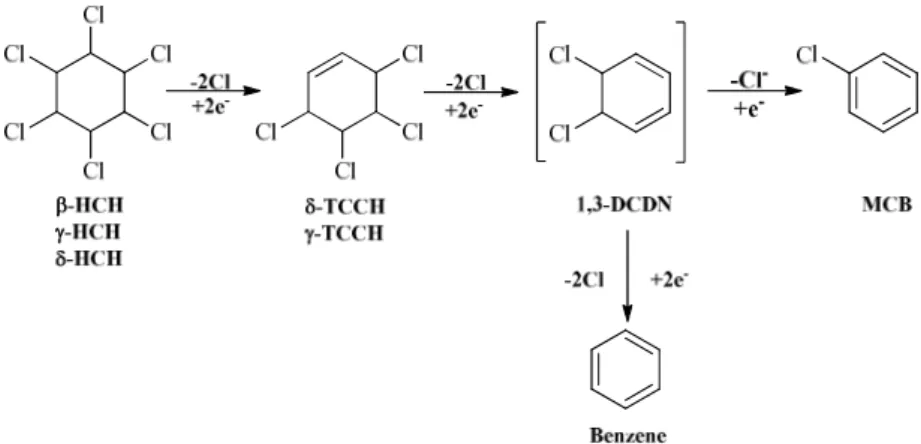 Figura 4. Possibili vie di degradazione del β, γ e δ-HCH per via microbiologica. 