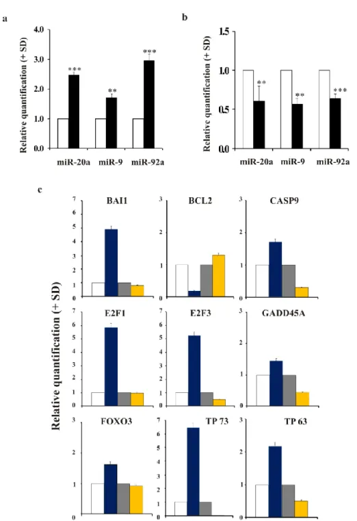 Figure  6.  miRNAs  are  inversely  regulated  in  MYCN-silenced  and  MYCN-up-regulated  neuroblastoma  cells, and its expression is associated to a different modulation of apoptosis-related genes a) The levels of 