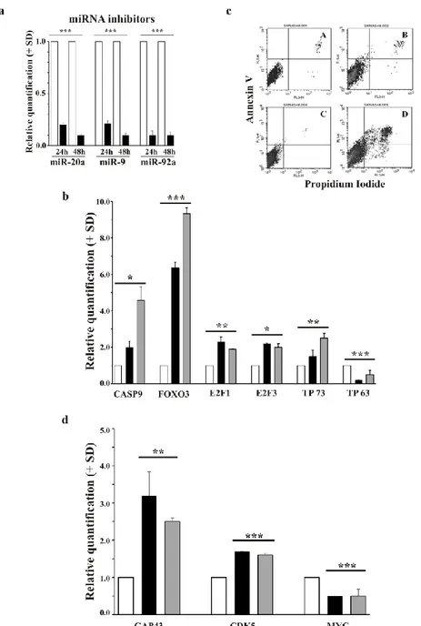 Figure  7.  miR-20a,  miR-9  and  miR-92a  inhibition  in  wild  type  SK-N-AS  cells  leads  to  apoptotic  death  induction and expression of differentiation-related genes a) The levels of the indicated miRNAs in inhibitor 