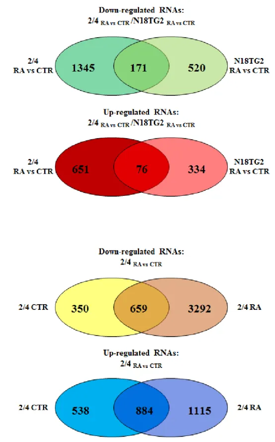 Figure 2. Common and differentially expressed RNAs in 2/4  RA vs CTR  /N18TG2  RA vs CTR  and 2/4  RA vs CTR  a) 