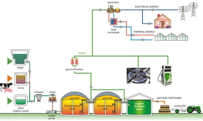 Figura n. 8: schema impianto di digestione anaerobica (http://energisesussexcoast.co.uk) 
