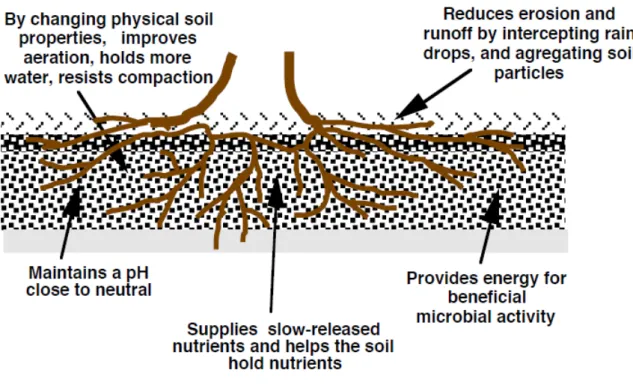 Figure 2.1 - Soil-Compost interaction 
