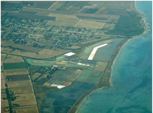 Fig. 1.3 Foto aerea della Riserva Naturale delle Saline di Tarquinia. 
