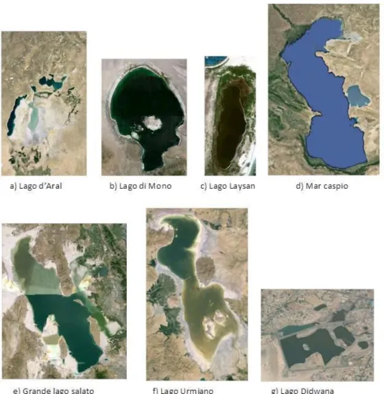 Fig. 1.7 Immagine satellitare di diversi laghi ipersalini presenti nel mondo (fonte: Google earth)