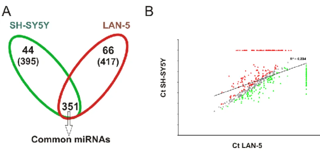 Figure 2. Functional analysis of miRNA target genes  in LAN-5 and SH-SY5Y cell lines.  