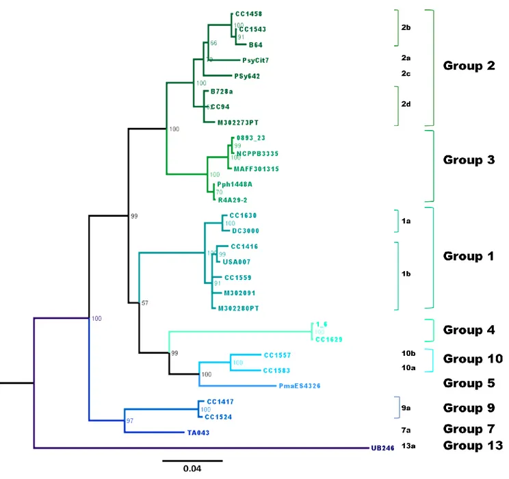 Figure  3.  Bayesian  phylogeny  of  the  cts  housekeeping  gene  of  the  29  P.  syringae  strains  used  for  core  genome  phylogeny