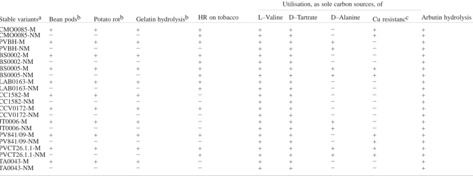 Table 2.  Assays conducted to characterize phase variants. For each stable variant, three different clones were used per test and the experiments were repeated 