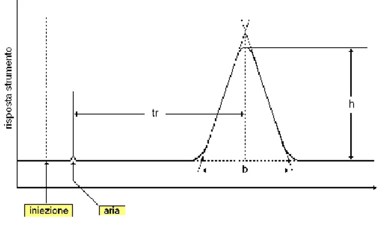 Figura 2: gas-cromatogramma