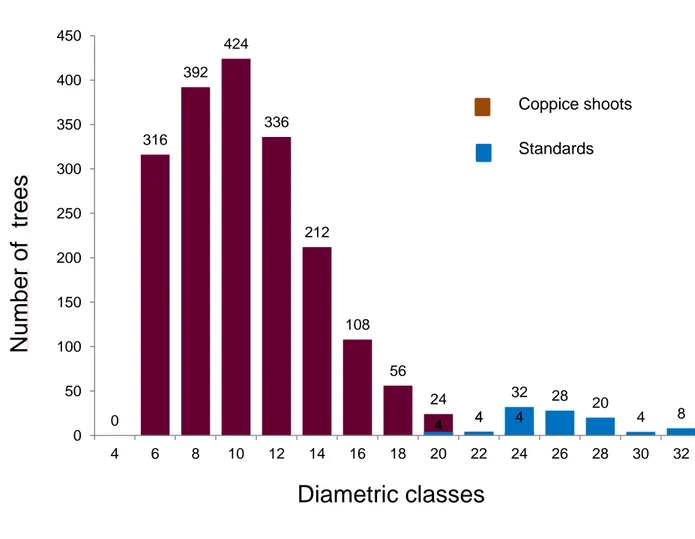 Fig. 2.1 - Diametric distribution of standards and coppice shoots. The distribution has the typical shape of a coppice  with  release of standards