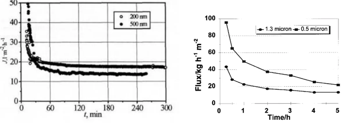 Figure 1.32   Permeation flux vs. time in microfiltration of beer through membranes of different pore size     (Stopka et al