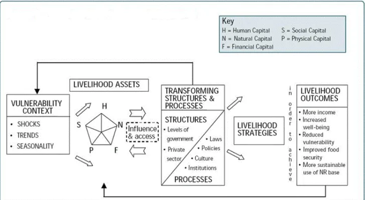 Figure 3. Sustainable Livelihoods Framework (DFID, 1999) 