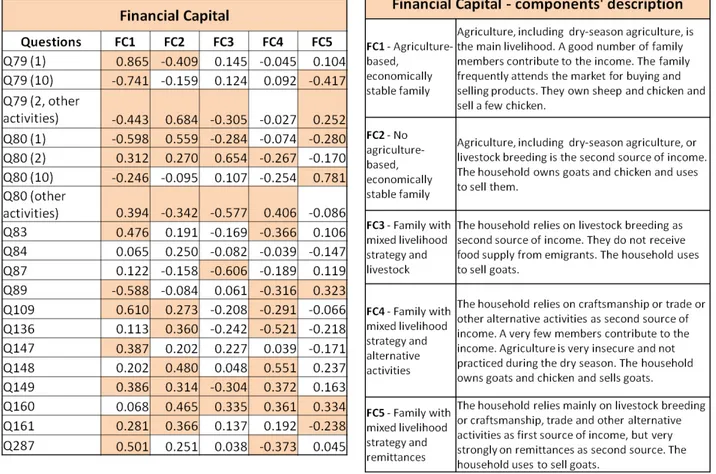 Table 15 and 16. Variables and descriptions of the financial capital principal components, Tolo 