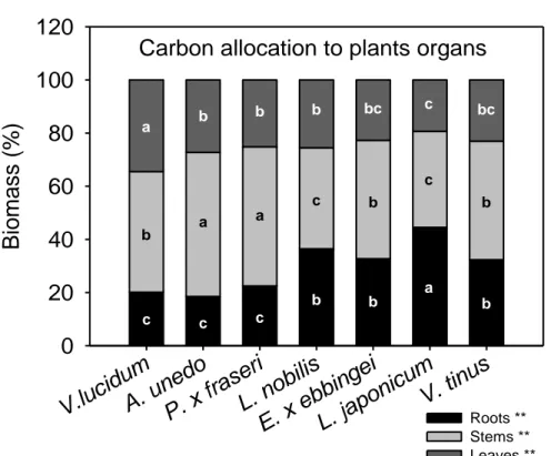 Figure 3: Carbon allocation to different plant organs in seven shrub species in 2011, under optimal  water availability