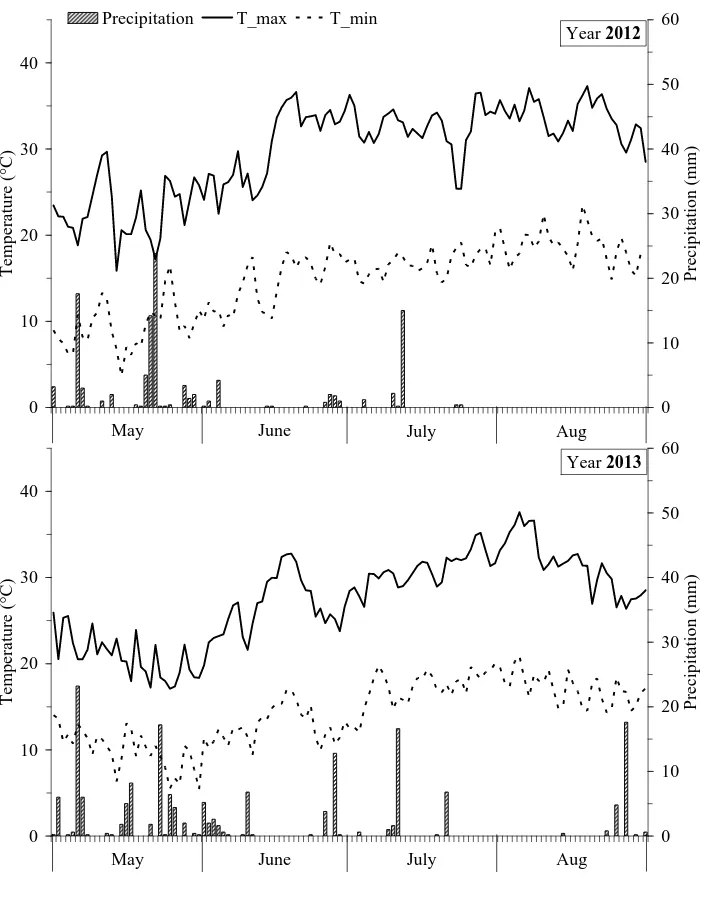 Figure 1. Daily minimum [---] and maximum [—] temperatures (◦C), and rainfall [ ] (mm) at the  experimental site, throughout the periods of study in 2012 and 2013 