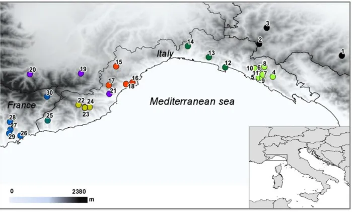 Figure 1. Distribution map of the 30 sampling sites of Hydromantes strinatii. Further information about sampled  localities  are  given  in  Table  1