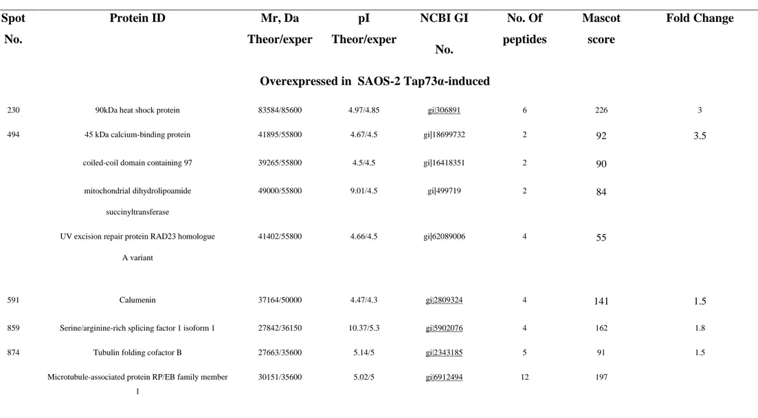 Table 1. Mass Spectrometry-Based Identification of Differentially Espressed Proteins upon Tap73α induction 