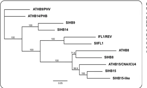 Fig. 2.5. Phylogenetic 