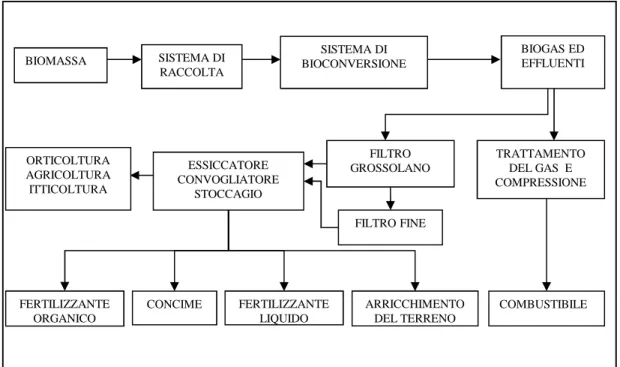Figura 1. Ciclo della biomassa nel processo di digestione anaerobica