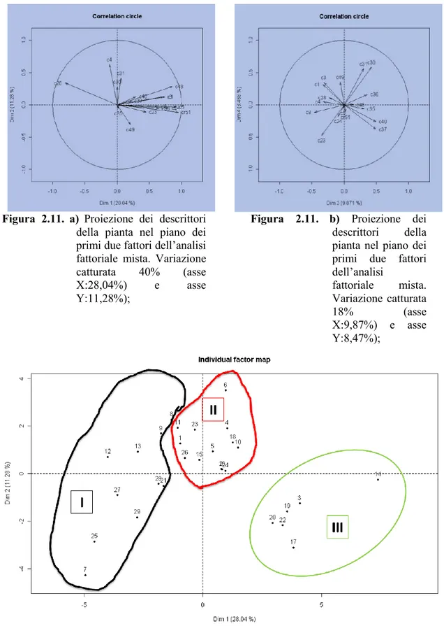 Figura  2.11. c)  Proiezione  degli  individui  nel  piano  dei  primi  due  fattori  dell’analisi  fattoriale  mista