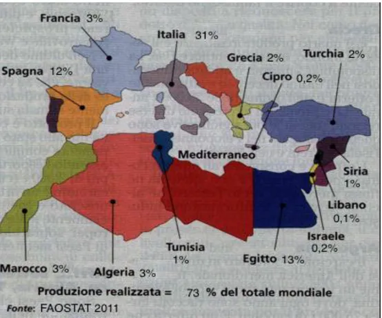 Fig.  1.1.11  –  Paesi  produttori  di  carciofi  nel  bacino  del  Mediterraneo  (Produzioni 