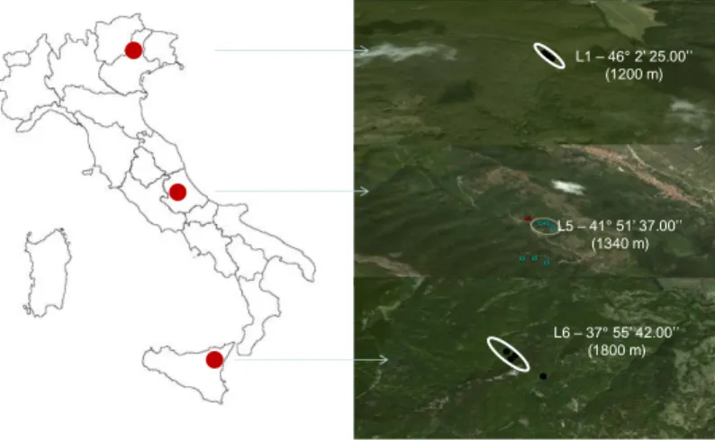 Fig. 3.1.2.3:  Map showing the locations  and latitude of the 3 levels (L1- Pian Cansiglio-, L5  – Serralunga- and L6 – 