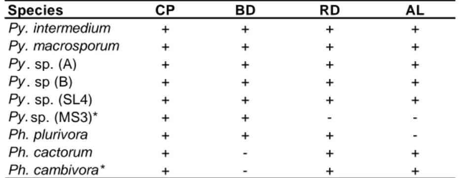 Tab.  4.2.1:  Pythiaceae  species  isolated  for  each  bait  type.  CP  =  carnation  petals;  BD  =  beech  leaves  disks;  RD= 