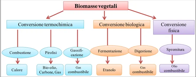 Figura 5. Schema relativo alle diverse modalità di conversione delle biomasse vegetali 