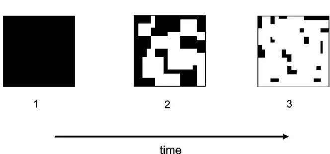 Fig. 1. Il processo di frammentazione. In nero è rappresentato l‟habitat e in bianco la matrice (Fahrig, 2003)