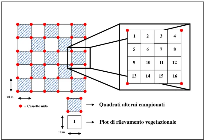 Fig. 15. Schema del protocollo di raccolta delle variabili strutturali nei frammenti di campionamento di M