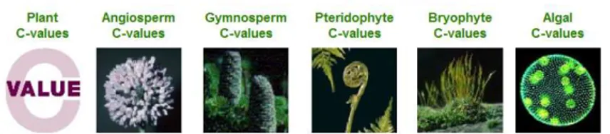 Figura 2.2. Pagina iniziale del portale “Plant DNA C-values Database”,  sito internet   http://www.kew.org/cval/homepage.html .