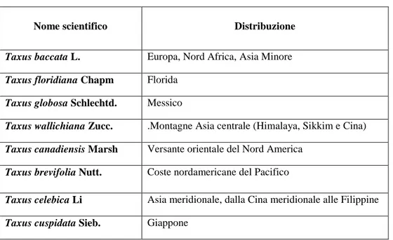 Tabella 2.1 Specie e distribuzione del genere Taxus 