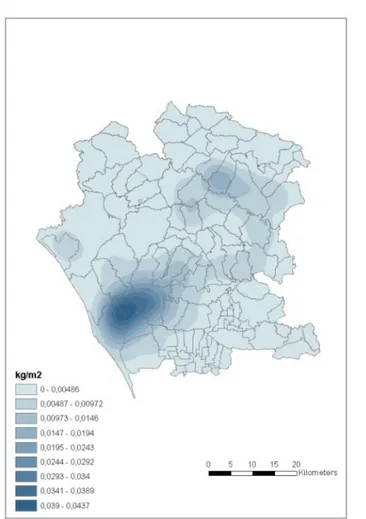 Figura 2-4: Distribuzione spaziale dell’azoto prodotto dalle aziende annualmente, ottenuta  attraverso una funzione di convoluzione (Infascelli et al
