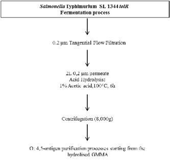 Figure 5. Flow chart for O-antigen extraction from GMMA produced by S.  Typhimurium SL1344 tolR-